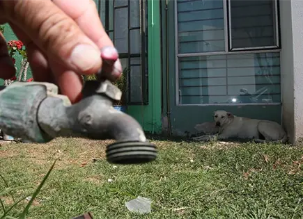 Congreso va contra Interapas por cortes de agua en la zona metropolitana