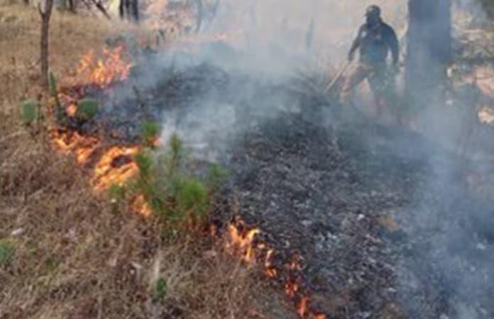 Foto: Centro Estatal Emergencias Contingencias Ambientales de Morelos