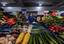México producirá más de 301.3 millones de toneladas de alimentos en 2023