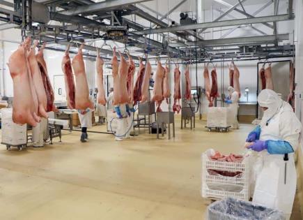 Productores mexicanos piden no importar carne de cerdo brasileña