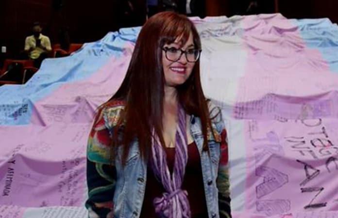 Foto: Diputada federal de Morena, Marisol García Segura