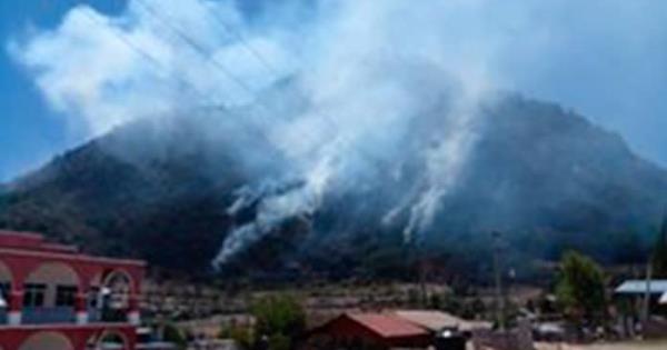 Cumple 7 Días Incendio Forestal En La Mixteca De Oaxaca 8699