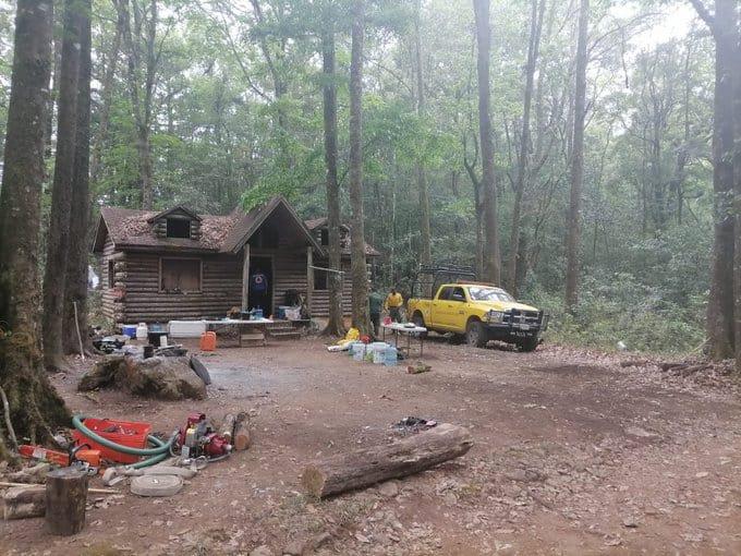 Foto: Comisión Nacional Forestal