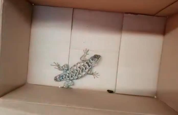 Foto extraída del video