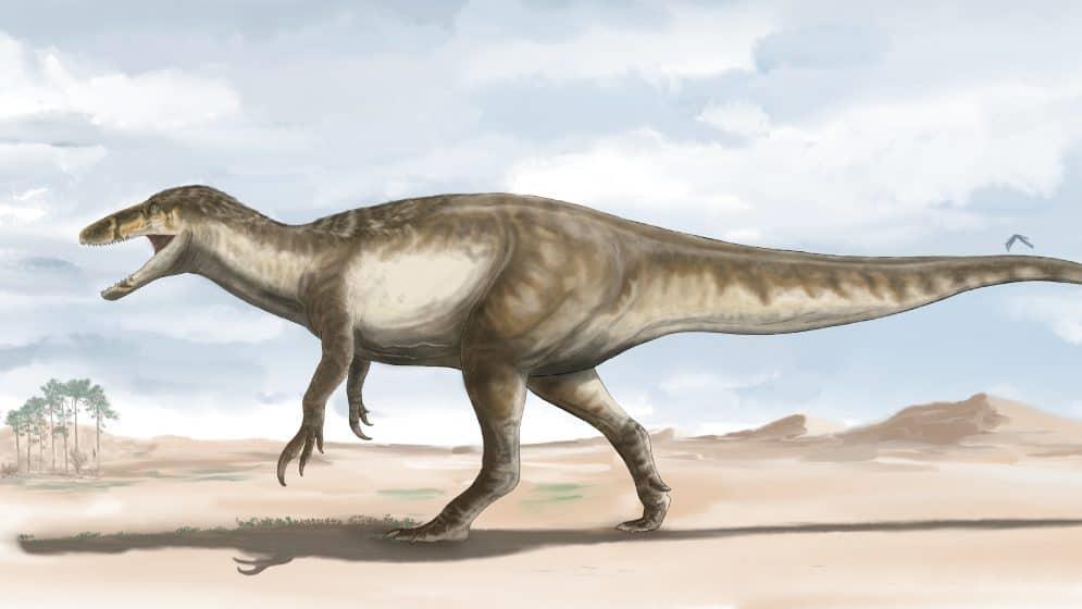 Reconstrucción en vida de Maip realizada por el ilustrador argentino Agustín Ozán (Conicet Argentina)