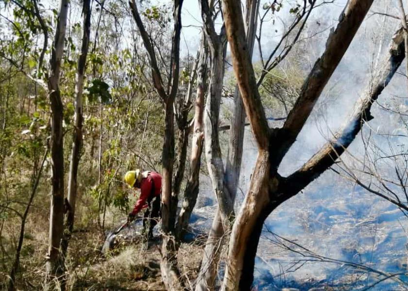 Foto: Secretaría de Medio Ambiente del Estado de México
