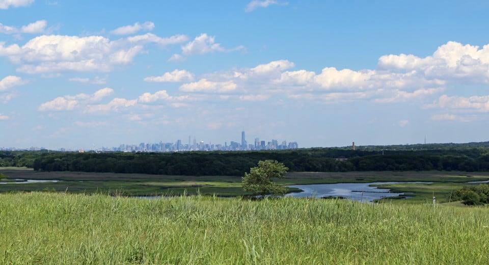 Foto: Fresh Kills Park