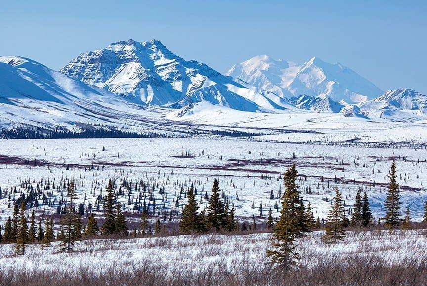 Foto: Parque Nacional de Denali