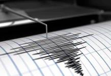 Dos terremotos de magnitud 5.4 y 5.2 sacuden Nueva Zelanda