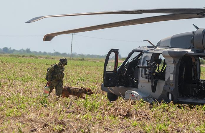 Lo que sabemos de los helic pteros Black Hawk de la Marina