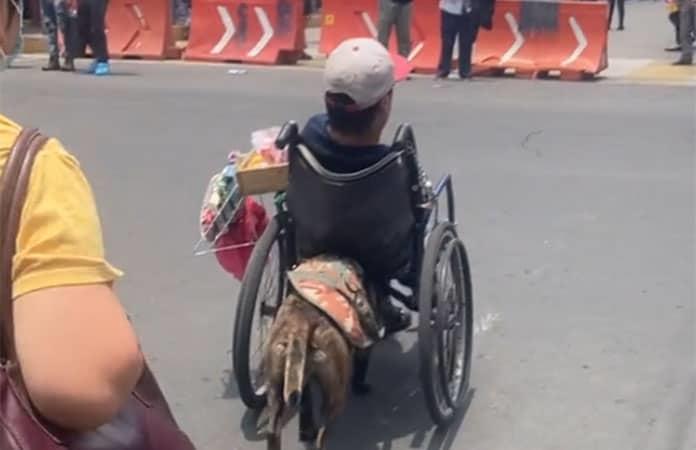 Imagen: captura de video