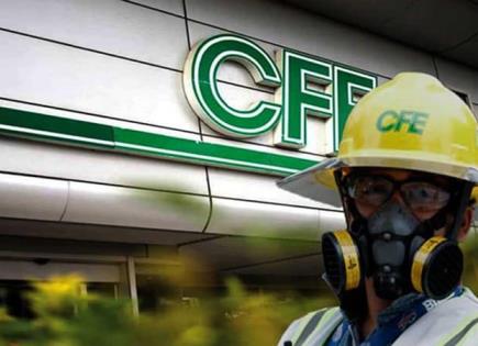 Cómo Reportar Fallas Eléctricas por Árboles Caídos en CFE