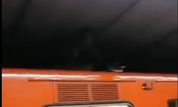Imagen: captura de video