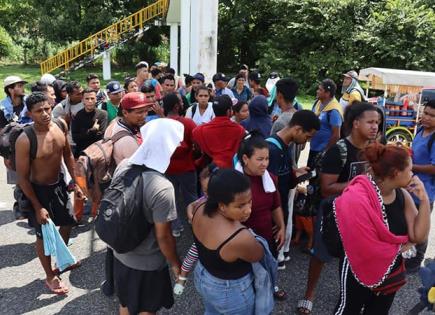 Campesinos mexicanos que llegan a EE.UU. crean un bosque de maletas de esperanza