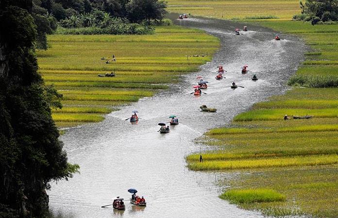 Arrozales en Vietnam, uno de los mayores productores del grano / Foto: EFE