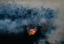 Los incendios doblan la posibilidad de muerte de los indígenas de la Amazonía