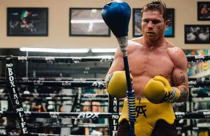 Canelo &Aacute;lvarez ya tendr&iacute;a rival para septiembre
