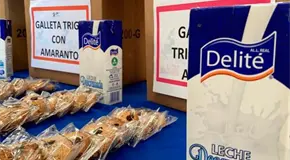 Juez federal ordena garantizar desayunos escolares en primarias