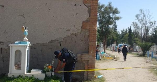 Enjambre De Abejas Ataca A Visitantes En Pante N Del Saucito