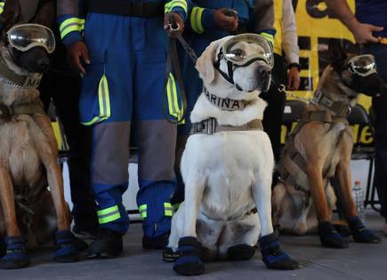 Recuerdan a Frida, la perrita rescatista de la Marina