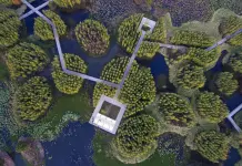 &iquest;Ciudades Esponja para la escasez de agua en el Valle de M&eacute;xico?