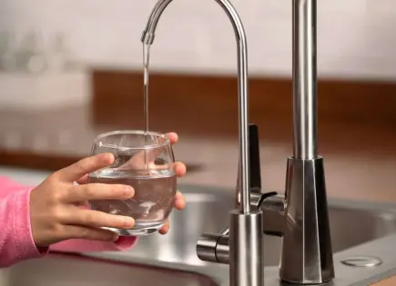 ¿Cómo tener agua purificada en casa?