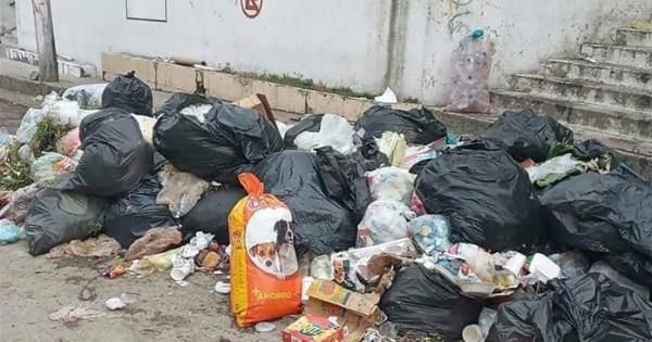 Piden No Tirar Su Basura En La Zona Centro 6858