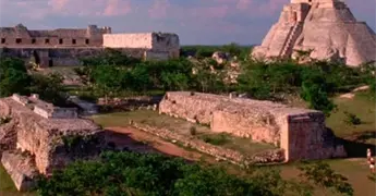 INAH Yucat&aacute;n alerta aumento de abejas en zona arqueol&oacute;gica Uxmal