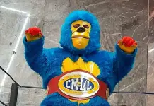 Kemonito: Lesionado en Lucha en G&oacute;mez Palacio