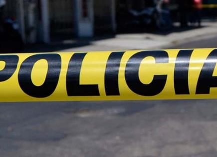 Rescate de animales ex&oacute;ticos en Veracruz tras operativo