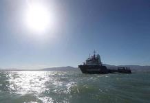 Semar y Sea Shepherd retiran redes la zona protegida de la vaquita marina