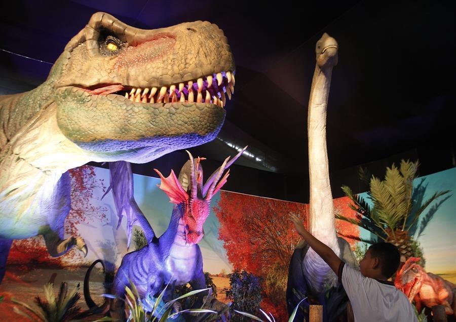 Dinosaurios y dragones animatrónicos inician un viaje mágico en Medellín,  Colombia