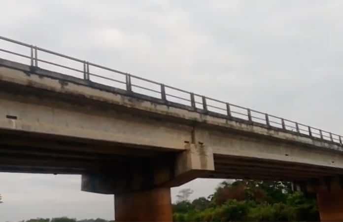 Imagen: Captura de video