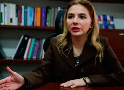 Trabaja INE modelo para detectar candidaturas riesgosas: Humphrey