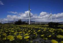 México anota su peor año en adopción de energía eólica con proyectos detenidos por 400 MW