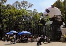 Celebran 100 años del zoológico de Chapultepec con oso panda gigante