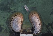 Sobrepesca de caracol reina amenaza forma de vida en Bahamas