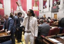 Tennessee: Cámara baja expulsa a 2 legisladores por protesta