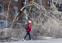 Cientos de miles siguen sin luz tras tormenta en Canadá