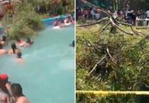 Árbol de 10 metros cae en alberca y mata a bebé en Guanajuato; hay 12 heridos