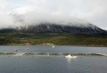 Las prístinas aguas australes, acechadas por la cuestionada salmonicultura