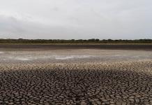 Preocupa a ecologistas inminente aprobación de riego en una zona cercana a humedal en Andalucía