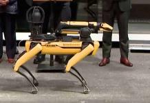 Nueva York usará perro robot policía