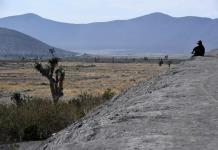 La deforestación en México registra un promedio anual de 127,800 hectáreas