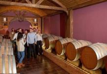 Disfruta del vino español en la Ruta del Vino de Villena