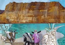Usan el arte del grafiti para dar vida al Mar Muerto, en riesgo de desaparición