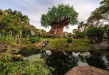 El parque Animal Kingdom de Disney cumple 25 años y lo celebra con donaciones