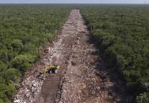 Comisión ambiental T-MEC pide evaluar impacto de Tren Maya