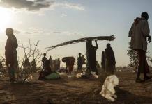Cambio climático agrava la sequía en este de África