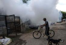Argentina autoriza vacuna japonesa contra el dengue